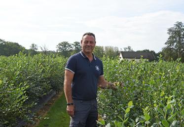 David-Alexandre Bertrant et sa compagne produisent en pleine terre, récoltent, conditionnent et commercialisent leurs myrtilles dans des grandes surfaces.