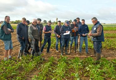 Mercredi 20 septembre, à Voves. Pierre Houdmon (à d.), responsable régional à l'ITB, a passé en revue toutes les variétés de betteraves en pointant leur capacité à résister à la jaunisse.