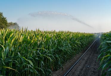 Augmenter le diamètre des tuyaux polyéthylène des enrouleurs permet de réduire la dépense énergétique en limitant les pertes de pression.