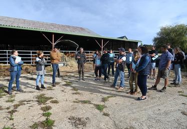 Mardi 26 septembre, à Sargé-sur-Braye. La chambre d'Agriculture de Loir-et-Cher a organisé une Matinée allaitante avec plus d'une vingtaine d'éleveurs du nord du département. 