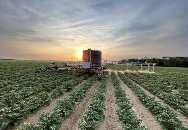 Les premières commercialisations de cette innovation sont prévues pour 2025.