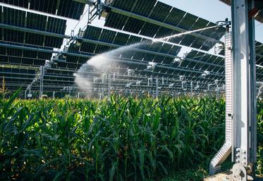 L’installation est probablement un système de protection contre les aléas climatiques, que sont la grêle, le gel tardif, la sécheresse et les fortes températures. 