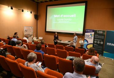 Jeudi 5 octobre, à Orléans. Le site web du projet Sycomore a été officiellement lancé au Muséum d'Orléans pour la biodiversité et l'environnement (Mobe).