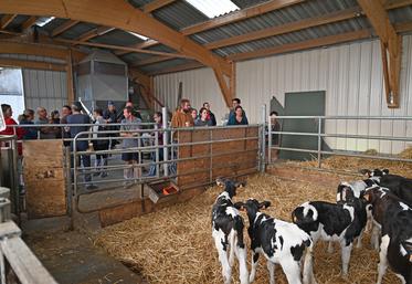 Mardi 10 octobre, à Cormenon. Une vingtaine d'éleveurs bovins lait ont participé à la matinée technique spécial génisses de la chambre d'Agriculture. 