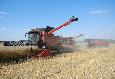 En 2022, tous les facteurs se sont conjugués pour assurer de bons résultats pour les exploitations euréliennes mais tout change ou presque en 2023.