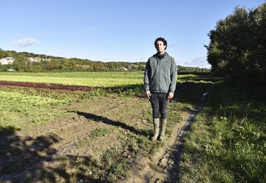 Au Mesnil-le-Roi (Yvelines), l'exploitation maraîchère de Vincent Dutorte est menacée par un vaste projet d'aménagement des berges de Seine. 