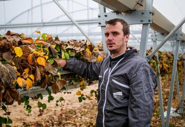 Valentin Caron s'est installé en 2016 à Sandillon. 