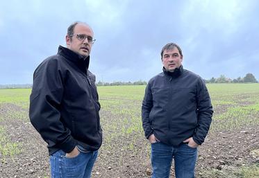 Étienne Accault (à g.) et Mickaël Berthault (à d.) ont opté pour la location d’une moissonneuse-batteuse en commun.