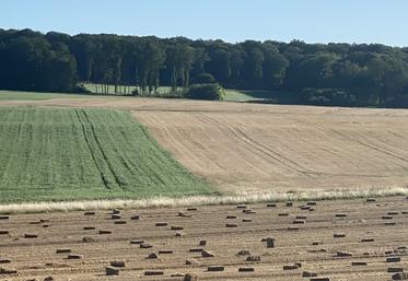 L'indice des fermages pour 2023/2024 est de 116,46, soit une augmentation de 5,63 % par rapport à 2022.