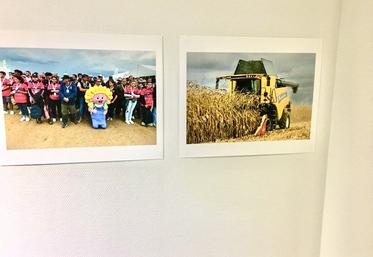 L'exposition photo à la Cité de l'agriculture, à Orléans, retrace les moments forts des Terres de Jim 2022. 