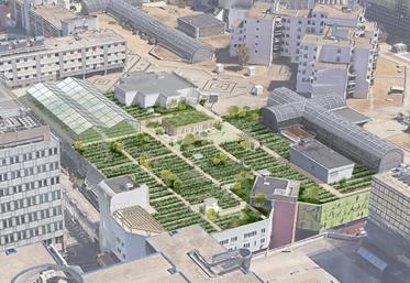 Ma salade à toit prévoit l’installation d’une ferme maraîchère sur un centre commercial.