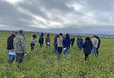 Mercredi 8 novembre à Noisy-le-Roi (Yvelines) lors de la visite de la plateforme d'expérimentation Agrifaune.