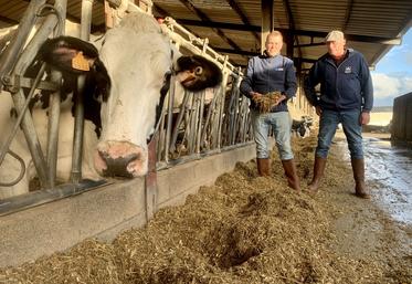 Grâce à la luzerne, Pascal et Alain Catoir adaptent la ration selon leurs objectifs et la qualité du maïs.