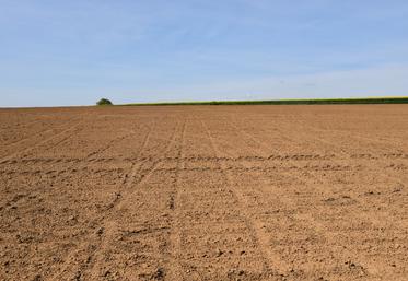 Imposer 4 % de surfaces agricoles improductives en Europe est un non-sens.