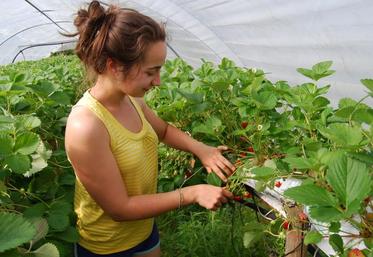 L'autocueillette pour que vous choisissiez vous-même vos produits.