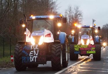 Ces jeunes professionnels ne veulent pas voir leur métier disparaître !
