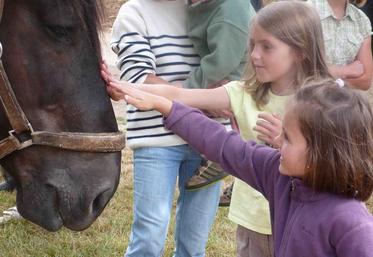 Les salariés de votre entreprise et leur famille accèderont à un large choix de services et d'activités sociales et culturelles à des conditions plus favorables
