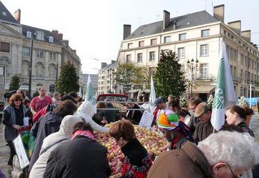 Manifestation du 5 novembre 2014, place du Martroi à Orléans.