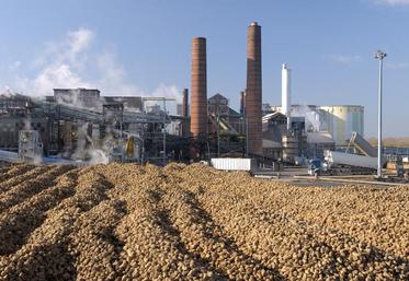 L'usine Saint Louis Sucre. Archives