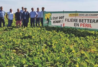 Le 18 juillet, rencontre sur le terrain avec les élus du Loiret et différents acteurs de la filière betteravière.