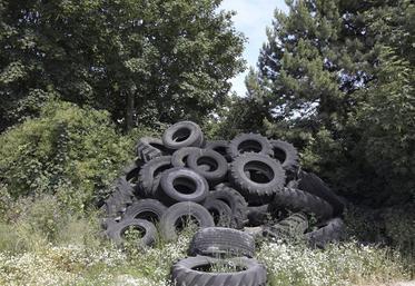 Prévoir de la main d’œuvre disponible, le jour de l’enlèvement pour aider le chauffeur à charger son camion.
