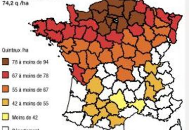 Rendement Blé tendre par département