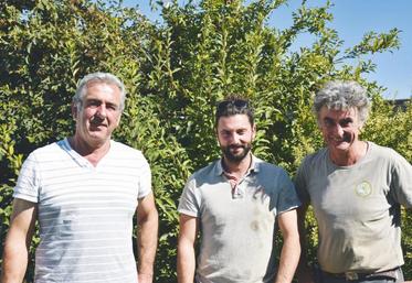 Le 28 août, à Rouvres-Saint-Jean. Les associés Gilles Desforges, Dorian et Alain Sagot (de g. à dr.) font partie du projet Agrognon et testent l'agriculture de conservation pour la culture d'oignons de plein champ.