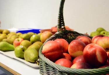 Le prix de produits agricoles de la Russie traverse une grave crise économique provoquée par les sanctions occidentales.