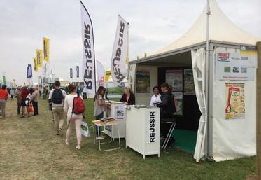 L’andaineur universel permet de déposer sur l’andain 100 % de ce qui passe par la batteuse.