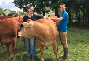 Le couple et ses « belles rousses » est installé aux Thibaults, à Chevry-sous-le-Bignon.