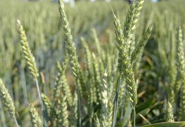 En pleine période de manifestations agricoles pour le trop plein de taxes et contraintes, comment vont réagir les agriculteurs du Centre à ces chiffres? Sont-ils représentatifs?