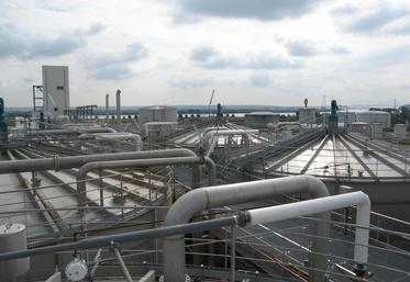 Photo d'archives  (une des sites Tereos France)