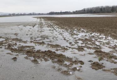 Culture agricole sous l'eau.
