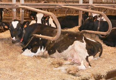 Le tank à lait, d’une capacité de 7.200 litres.