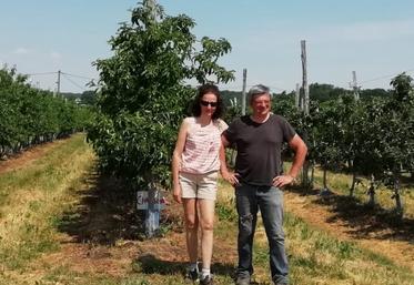 Olivier Poulard, arboriculteur dans le Loiret.