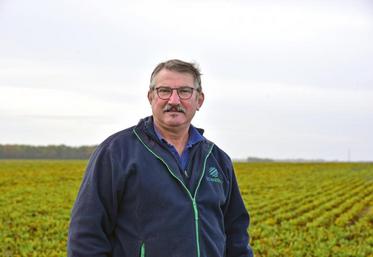 Le 28 octobre à Villamblain. Pascal Chateigner, agriculteur, débute la récolte de ses 10 ha de betteraves.