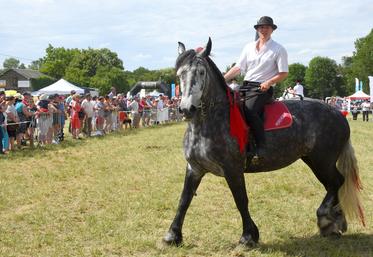 Le comice du Perche et Dunois en 2019.