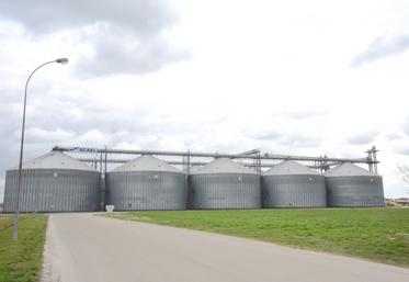 La coopérative Scael en Eure-et-Loir.