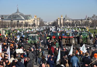Mercredi 8 février, plus de 3 000 agriculteurs, avec 650 tracteurs, ont manifesté aux Invalides à Paris face à la suppression massive de leurs outils de production.  