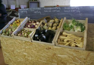 Légumes vendus à la ferme.