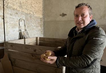 En cas de mildiou, le déclenchement des interventions est raisonné grâce à différents outils comme Mileos ou encore les Bulletins de santé du végétal.