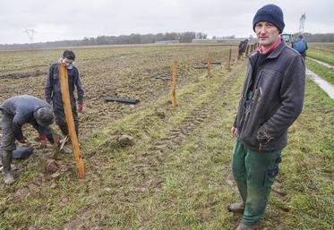 Mardi 5 décembre, à Thivars. L'éleveur Étienne de Saint-Laumer a planté une haie de 400 arbres qui feront de l'ombre et du fourrage pour ses moutons.