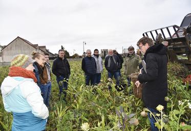 Forges, vendredi 24 novembre. Visite commentée d'une parcelle recouverte d'un couvert automnal.