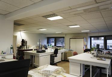 Pour moderniser le laboratoire, un nouvel aménagement, avec de nouvelles paillasses, a été opéré.