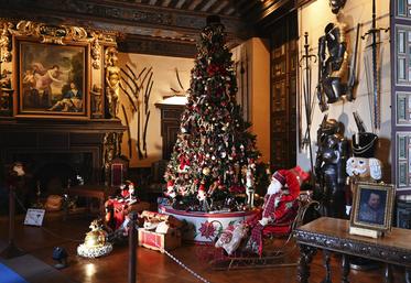 Cette année encore, le château de Cheverny a mis ses plus beaux habits de Noël pour la période des fêtes. Jusqu'au 7 janvier, les visiteurs peuvent être en totale immersion au cœur de Noël. 