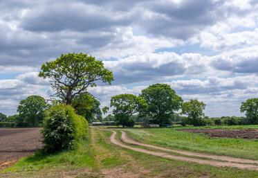 La formation aura lieu mercredi 7 février à Brie-Comte-Robert. 