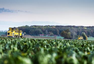 À Estrées-Saint-Denis (Oise) l'automne dernier, lors de la récolte des betteraves. 