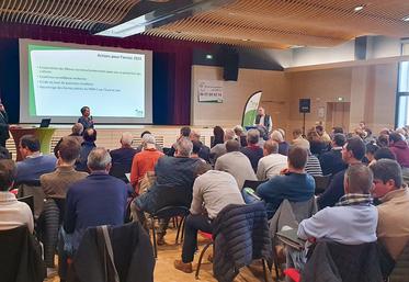 Mercredi 20 décembre, à Janville-en-Beauce. L’Institut technique de la betterave Centre-Val de Loire a tenu sa réunion annuelle sur le thème de la gestion des maladies foliaires.