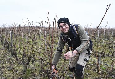 Hugo Biet, futur jeune vigneron : « La taille, c'est le début de la campagne et il faut la réaliser dans les temps ». 