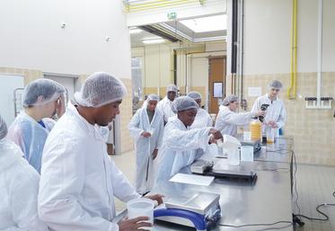 Le 18 janvier, à Sours. Par le biais d'ateliers menés par des étudiants en BTS Bioqualim de La Saussaye, les collégiens découvrent les métiers de l'agroalimentaire.